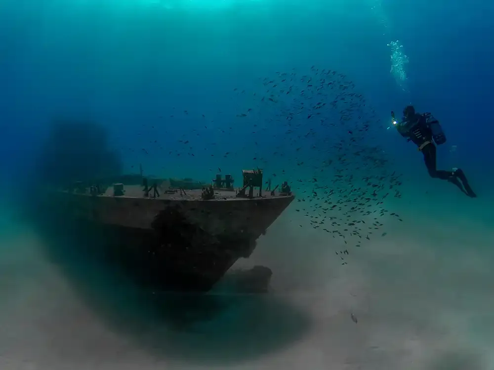 P31 Wreck