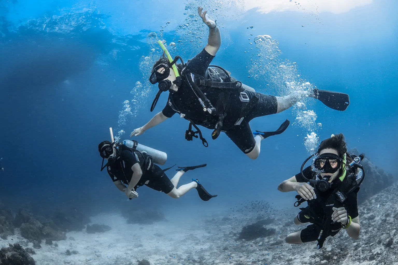 Introductory Dive