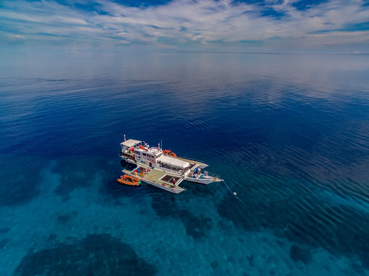 Tubbataha Reefs liveaboard (M/Y Sakura, budget)